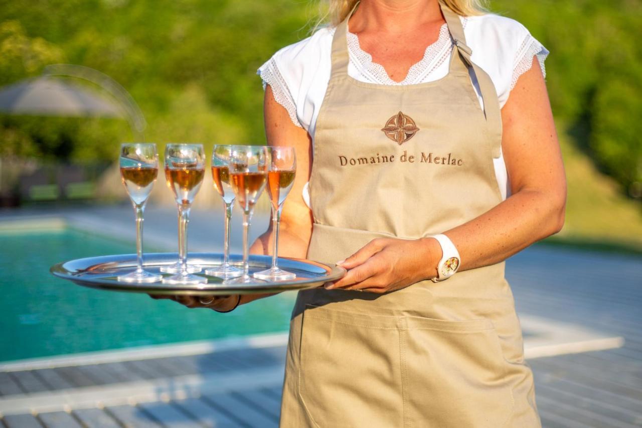 Domaine De Merlac Rieussec Kültér fotó