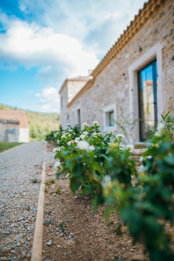Domaine De Merlac Rieussec Kültér fotó